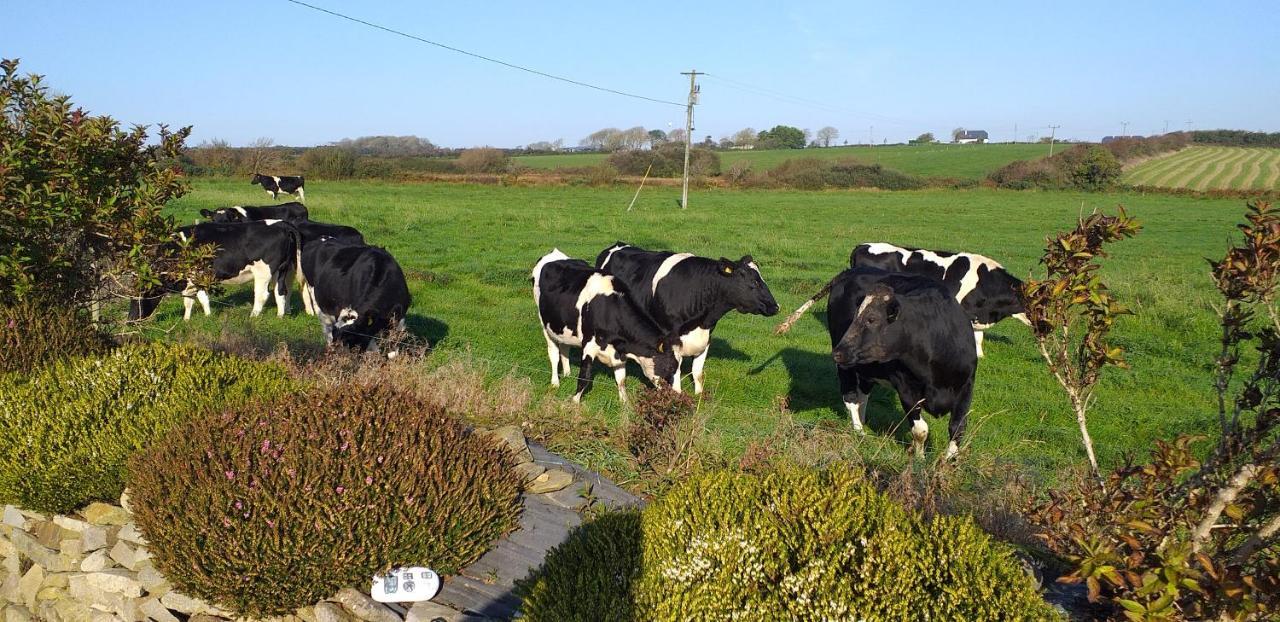 Murphys Irish Farmhouse Трали Экстерьер фото