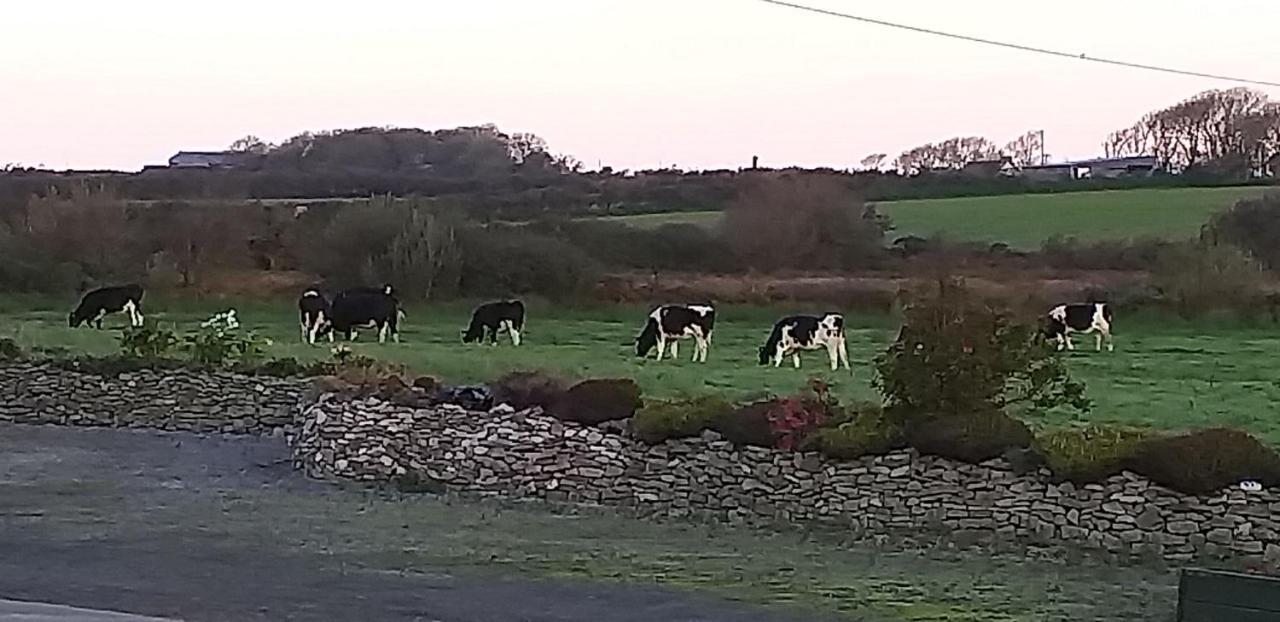 Murphys Irish Farmhouse Трали Экстерьер фото